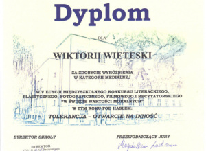 Wyróżnienie w kategorii medialnej