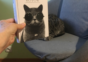 "Święto książki"